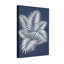 Plantes et fleurs, feuilles de palmier argentées sur fond bleu marine-1553386140