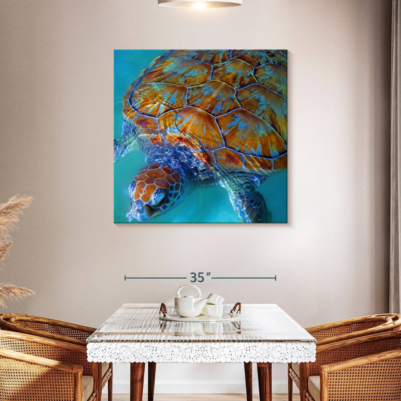 Brampt Cayman Sea Turtle, 39" H x 39" W