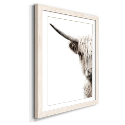 " Highland Cattle "