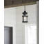 Lanterne suspendue d'extérieur 1 lumière H 16,25 po Pettiford-92430567