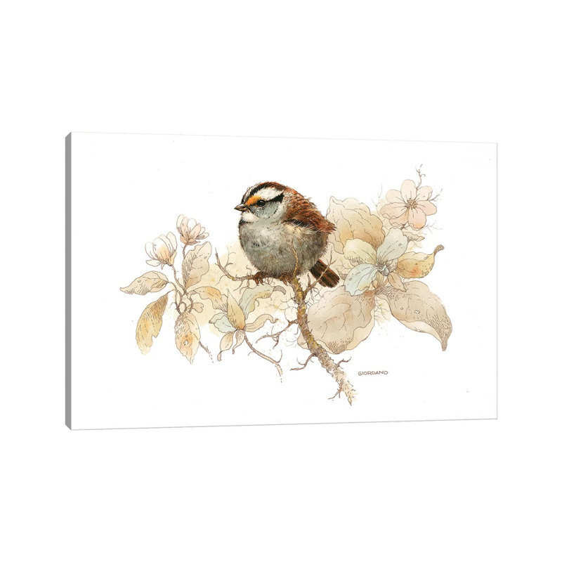 Sparrow Vignette by Giordano Studios - Wrapped Canvas Print, 20.32cm H x 30.48cm W