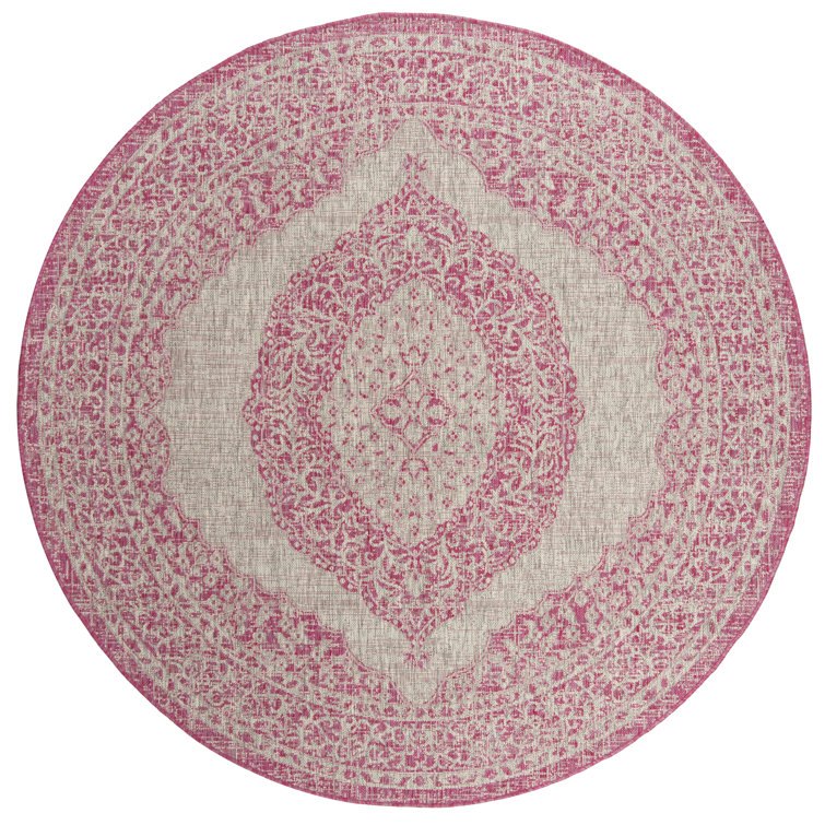 Amedee Performance Oriental Indoor/Outdoor Area Rug
