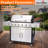 6 Burner Gas Grill With Side Burner