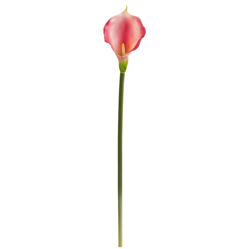 Calla Lilies Arrangement, Pink