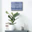 Art mural en verre Wrought Studio ™ «Shiboriscapes 5» par Mary Urban-536999934