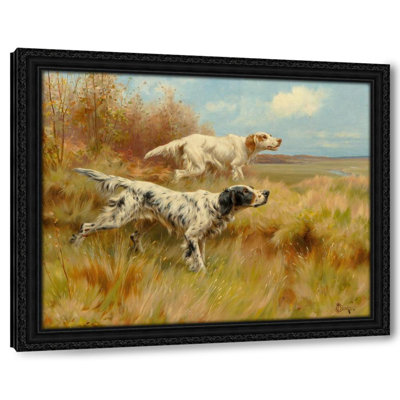 English setters on point