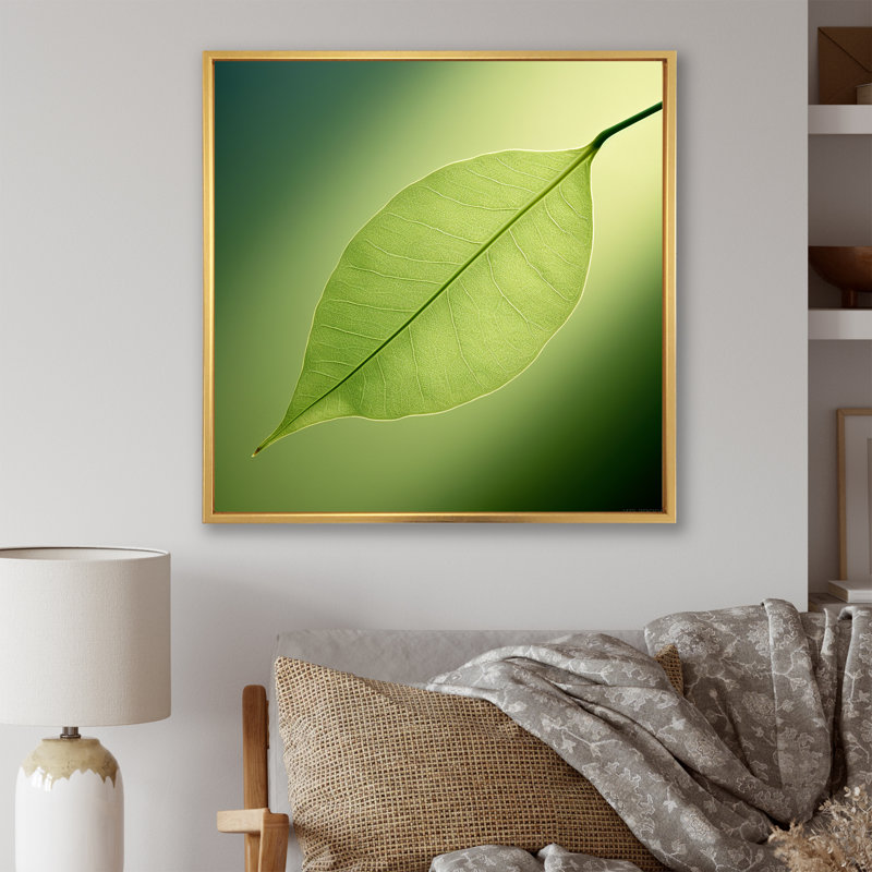 «Lime Lightness Leafy Minimalisme I - Feuilles», impressions sur toile, Cadre flottant doré, H 36 po x l 36 po x P 1,5 po
