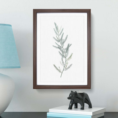 Asparagus Flowers by Pierre-Joseph Redoute - Single Picture Frame Painting