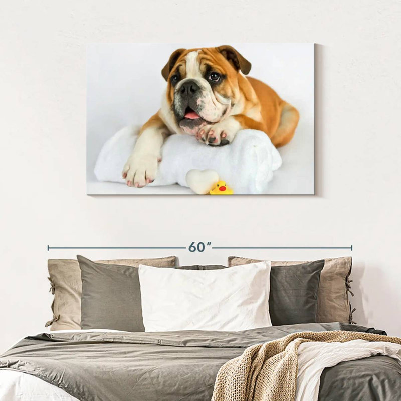 Brampt Donald I, 30" H x 45" W