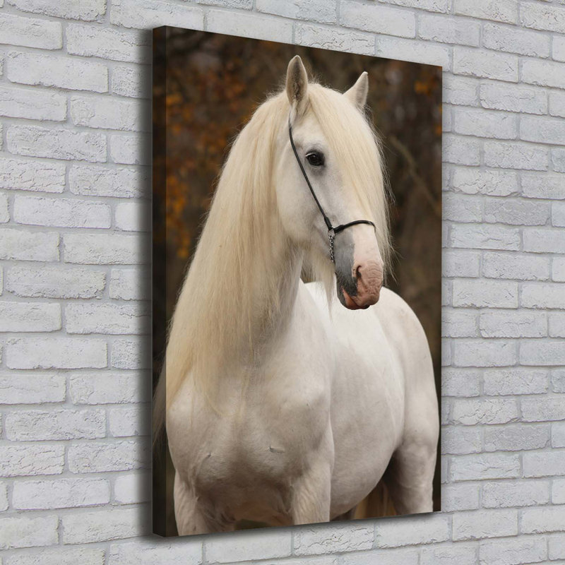 White Horse - Wrapped Canvas Print