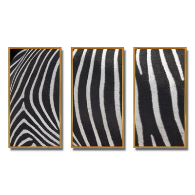 " Detail Of Black And White Zebra Lines IV " 3 - Pieces