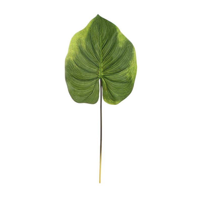 33 "Real Touch Alocasia