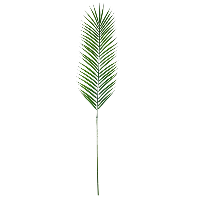 Andarius Arrangement