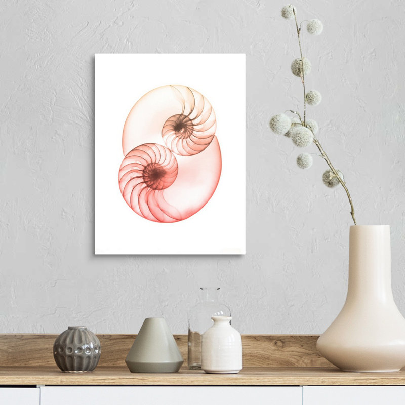 "Sunset Shell 1" par Albert Koetsier, reproduction d’art sur toile, Toile tendue, H 48 po x l 36 po x P 1,5 po