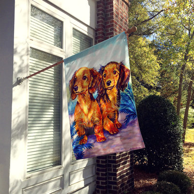 Double Sided 40'' H x 28'' W Polyester Animal House Flag