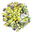 Couronne de limonade 25 Cent Old Fashion