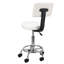 Backed Adjustable Height Ergonomic Lab Stool Wheels-1555948331
