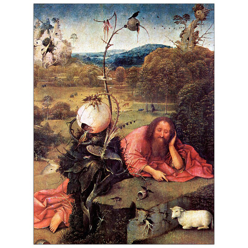 Hieronymus Bosch - Wrapped Canvas Painting