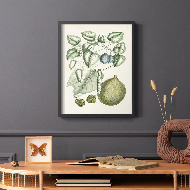«Buchoz Tropicals», reproduction encadrée en bois massif, Noir, H 28 po x l 22 po