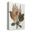 Fall Foliage II - Toile tendue avec châssis de qualité supérieure - prête à être accrochée-2099112900