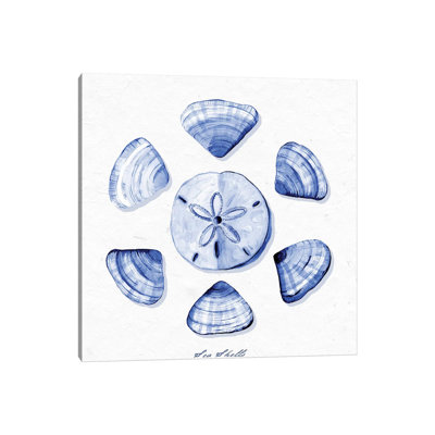 Shell Collection VII by Stephanie Ryan - Painting on Canvas