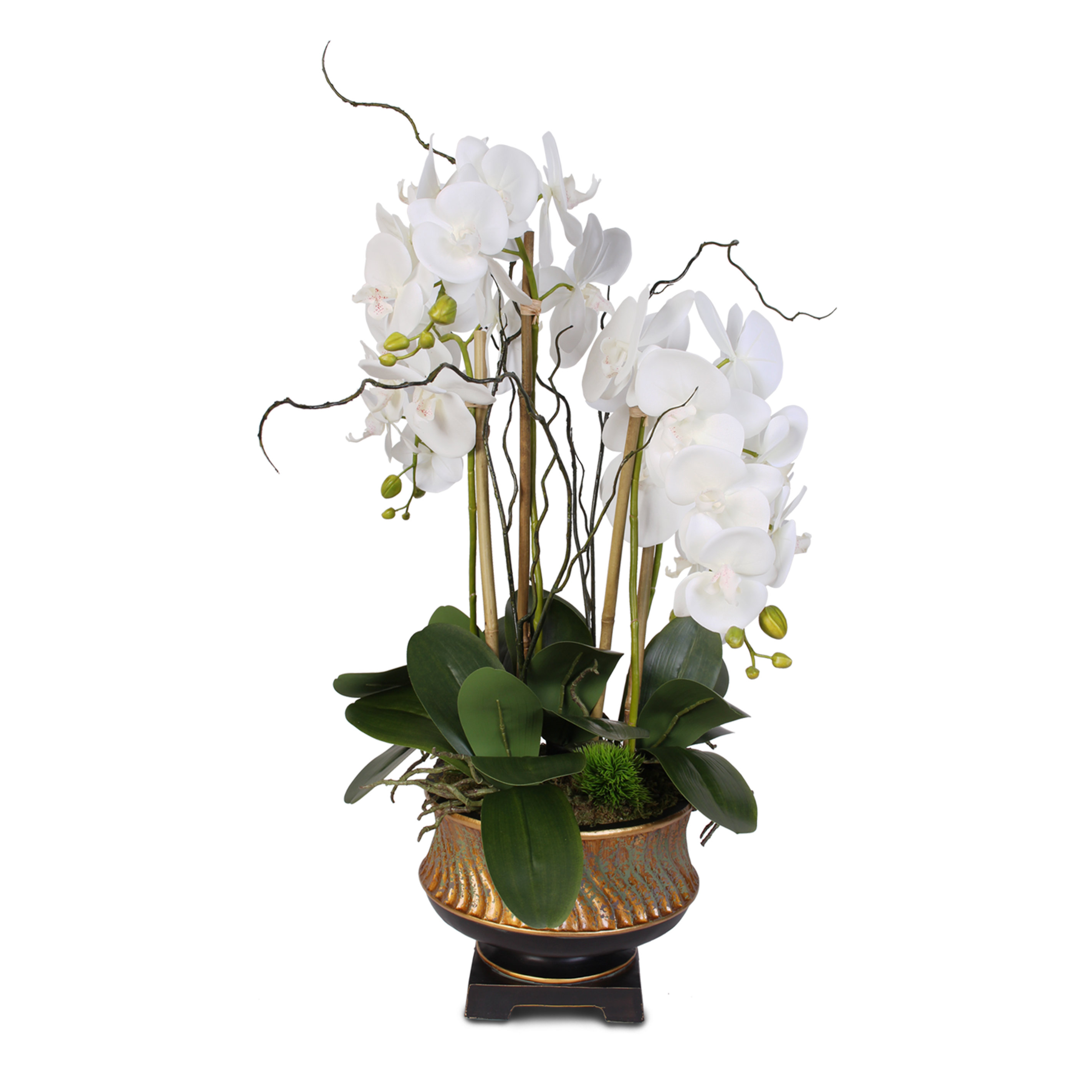 Astoria Grand Liquid Polymer Orchid Arrangement In Vase 