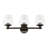 Sylmar 3 - Light Dimmable Vanity Light-1555810509