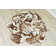 Floral Indoor Rug