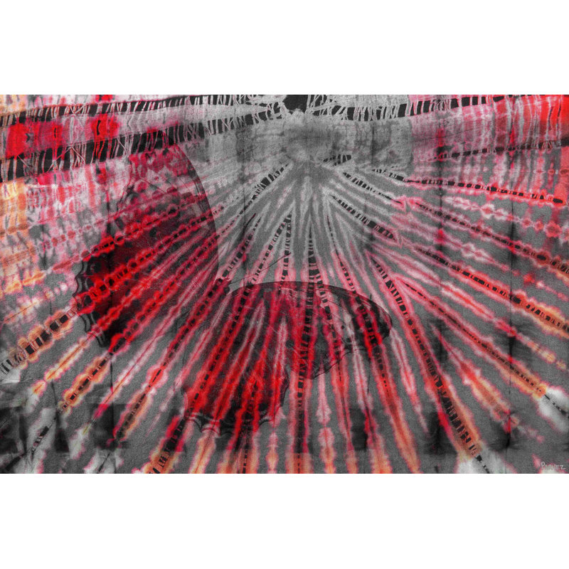 Parvez Taj - Wrapped Canvas Print, 101cm H x 152cm W x 3.8cm D
