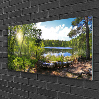 Nature Forest Lake - Unframed Photograph on Glass