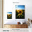Harnek tournesol amour-108226240