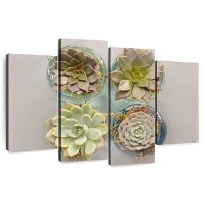 Succulent Pots