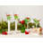 Mistletoe 6oz. Handmade Flute Set