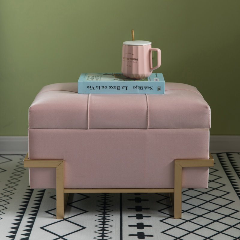 Repose-pieds de rangement rectangulaire en velours avec rangement 14 po Havenhill, Rose