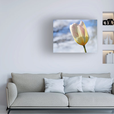 Art sur toile Suzanne Bonin