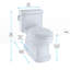 Guinevere® ADA Compliant 1.28 GPF Elongated One-Piece Toilet with SanaGloss Glazing-1695474