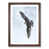 Walnut Framed selected