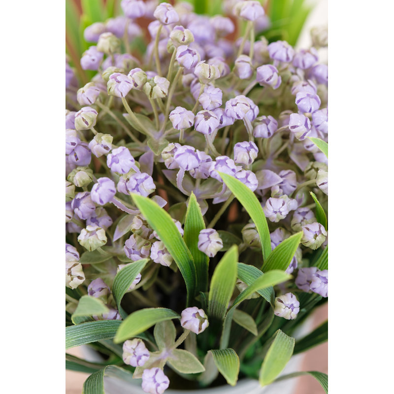 Étoile à bulles en fleur dans un pot, Mauve, 1