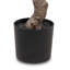 Faux Aralia Faux Foliage Tree in Pot-150141443