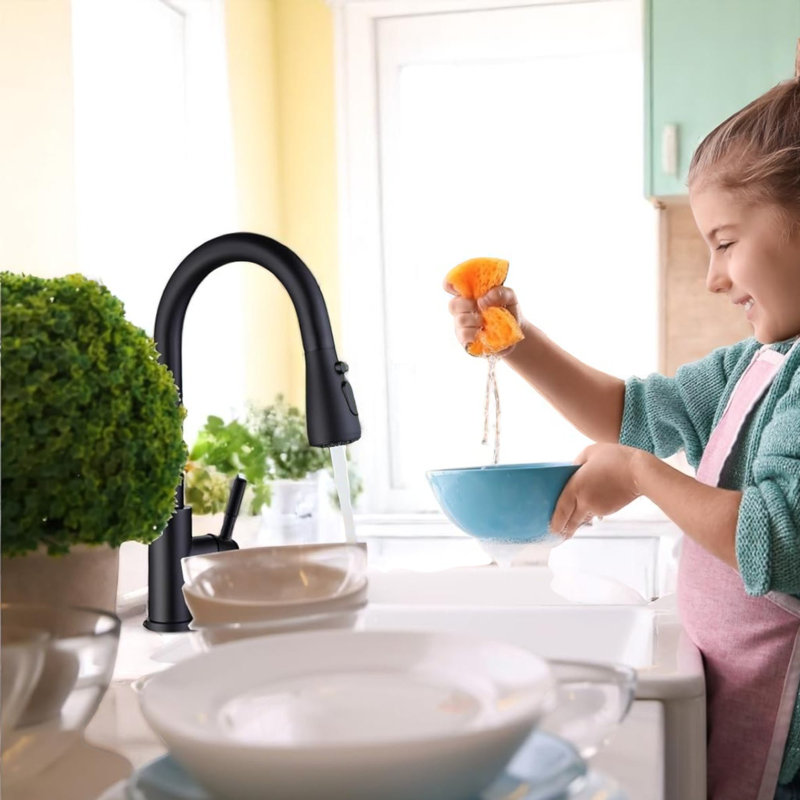 Single Handle Deck-mount Pull-down Kitchen Faucet with Sprayer, Without Soap Dispenser, Matte Black