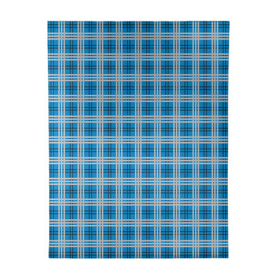 Plaid Indoor Rug
