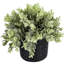 17cm Faux Eucalyptus Plant in Cement Pot