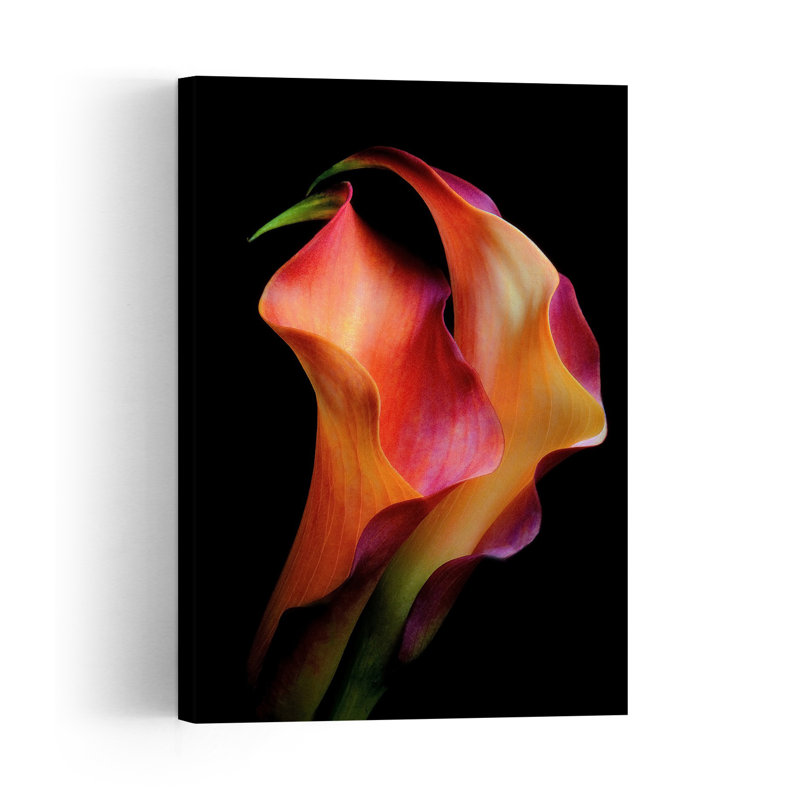 Vibrant Calla Lilies Colorful Delicate Dramatic Lily Flower Wall Art Print 1 Piece Wrapped Canvas Wall Art