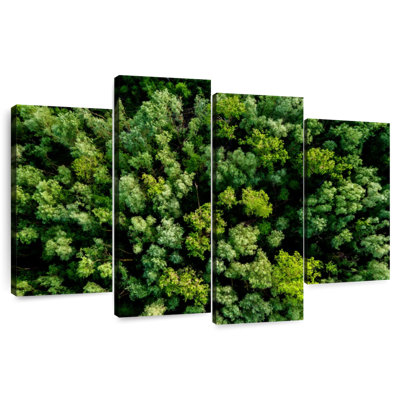 Alvord Lush Green Woodland