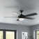 Swearengin 52'' Ceiling Fan with LED Lights