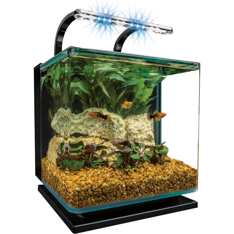 Ensemble d'aquarium Contour Glass
