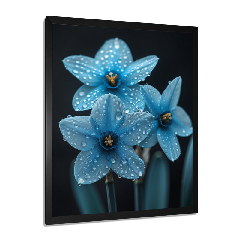Photo de jonquilles goutte de pluie monochrome - jonquilles murales, H 12 po x l 20 po, Cadre simple noir