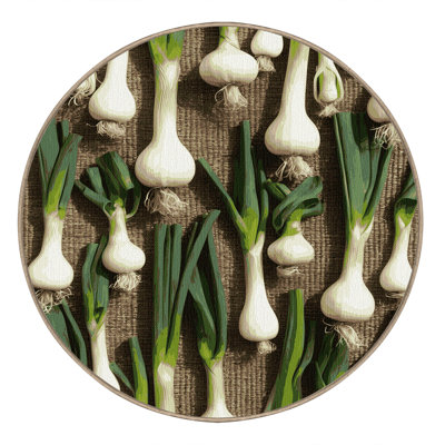 Tapis lavable vert légumes oignon vert