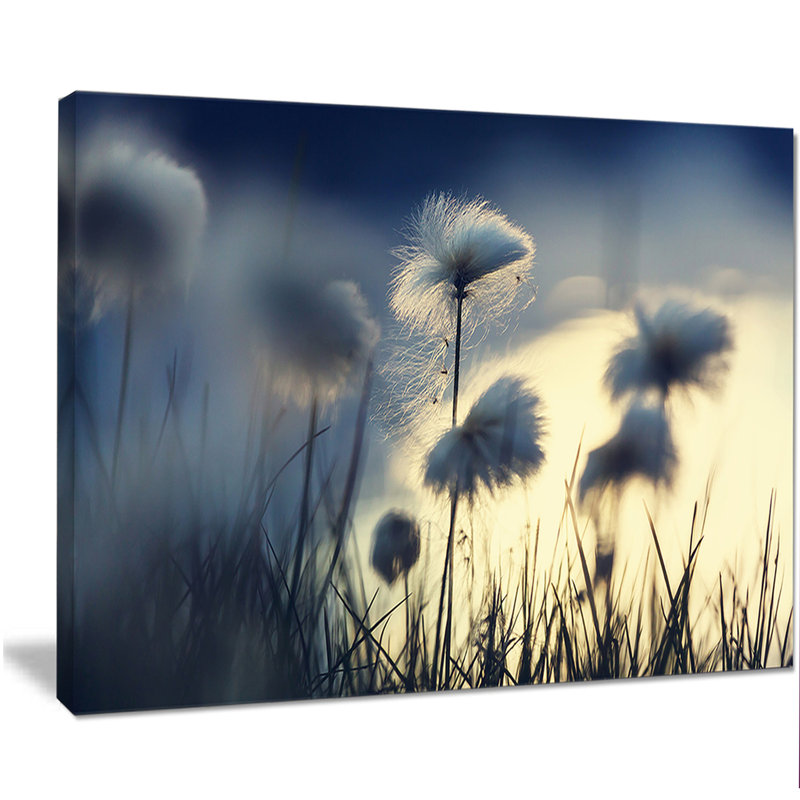 « arctique fleuri de coton floral », impression sur toile tendue, H 30 po x l 40 po