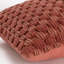 Roya Cotton Throw Pillow-1796704712